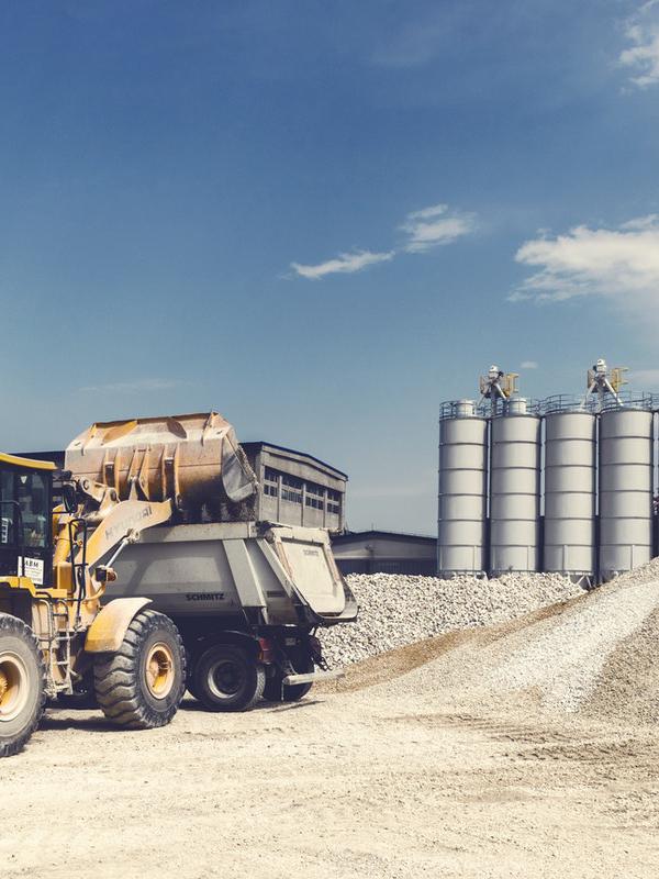 A long established fact