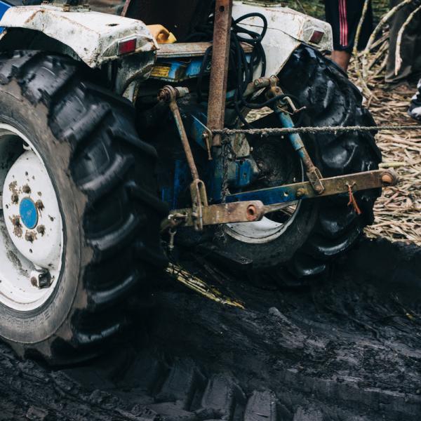 Hidden in the middle of text